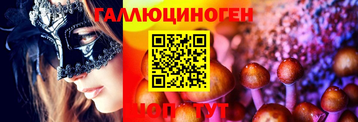Борзя  Галлюциногенные грибы MAGIC MUSHROOMS  Вход с VPN 